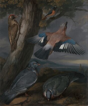 Jay, Green Woodpecker, Pigeons, and Redstart Landscape with a Green Woodpecker, a Jay, Two Pigeons, a Redstart, a Lizard and Two Frogs