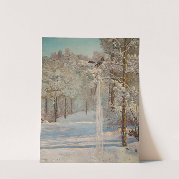 Jay by Jozef Chelmonski