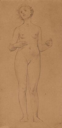 Jeune femme nue