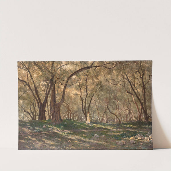 Jeune Fille Sous Les Oliviers - Menton by Henry Brokman