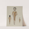 Jointed Wooden Dolls by Jane Iverson