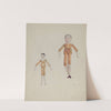 Jointed Wooden Dolls by Arelia Arbo