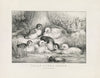 Jolly young ducks (1866)