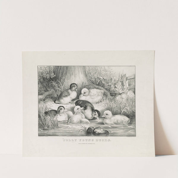 Jolly young ducks (1866) by Currier & Ives.