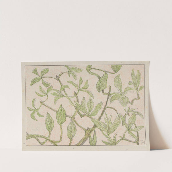 Jonge bladeren en knoppen by Theo van Hoytema