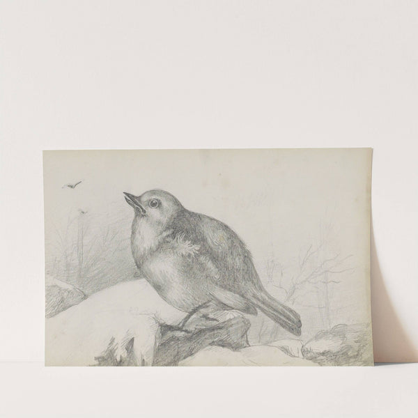 Jonge vogel op een steen (1880) by Marius Bauer