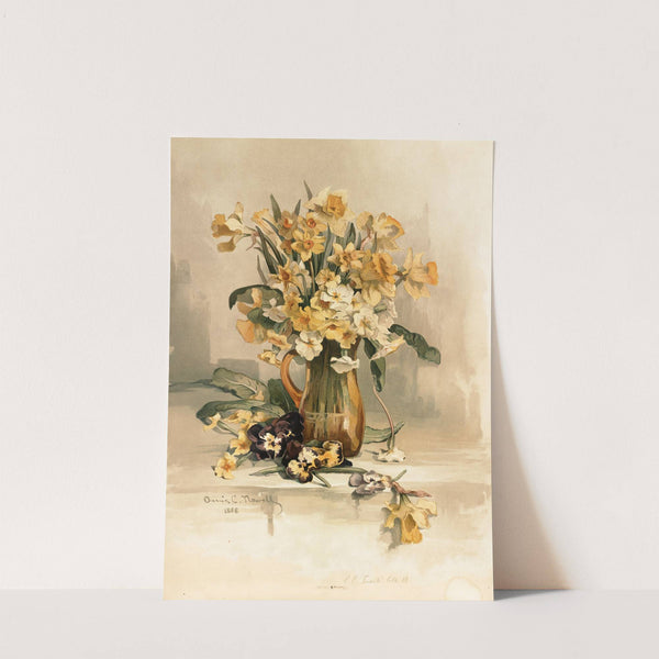 Jonquils by Annie Nowell