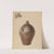 Jug by Yolande Delasser