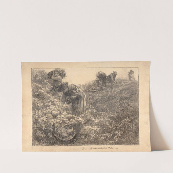 June; the daisies of the Saint John by Marie Bracquemond