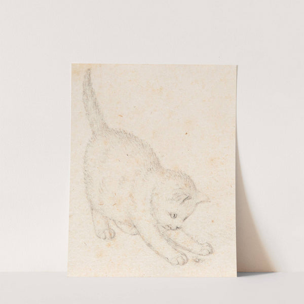 Junge Katze by Gottfried Mind