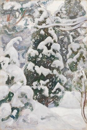 Juniper Tree in Snow