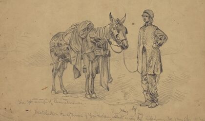 Just from Chancellorsville. An amateur quartermaster