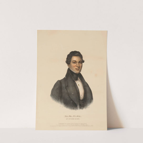 Ka-Na-Pi-Ma, An Ottawa Chief (1842) by Charles Bird King