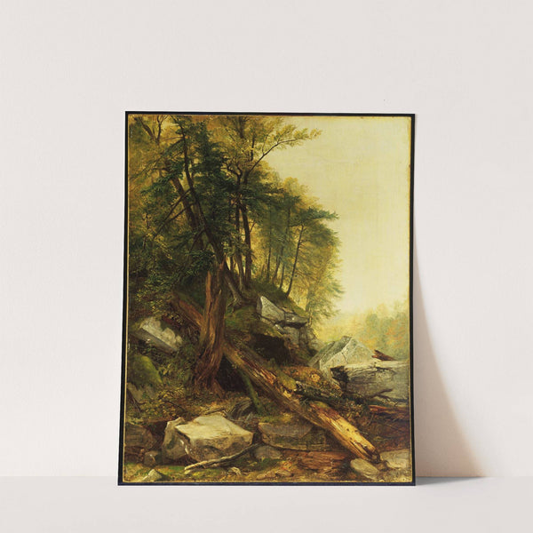 Kaaterskill Landscape (1850) by Asher Brown Durand