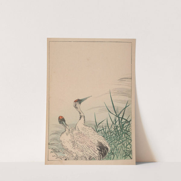 Kachō gafu, Pl.02 by Kōtei Fukui