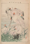 Kachō gafu, Pl.03