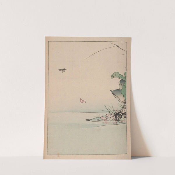 Kachō gafu, Pl.06 by Kōtei Fukui