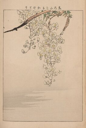 Kachō gafu, Pl.11