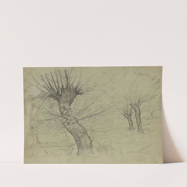 Kahle Weiden by Otto Scholderer