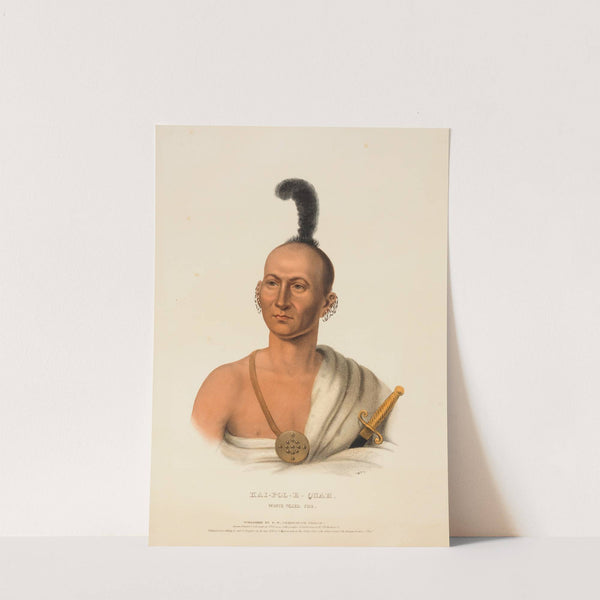 Kai-Pol-E-Quah, White Nosed Fox (ca. 1836) by Charles Bird King