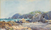 Kaikoura coast