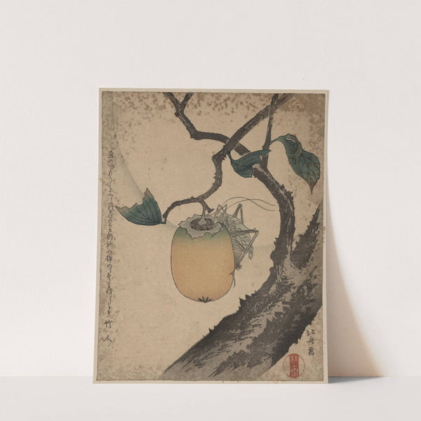 Kaki ni kirigirisu by Katsushika Hokusai