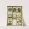 Kale, Cauliflower, Chicory, Cress, Leek (1921) by Genesee Valley Lithograph Co.