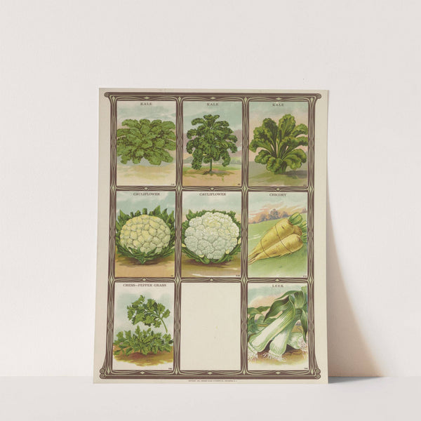 Kale, Cauliflower, Chicory, Cress, Leek (1921) by Genesee Valley Lithograph Co.