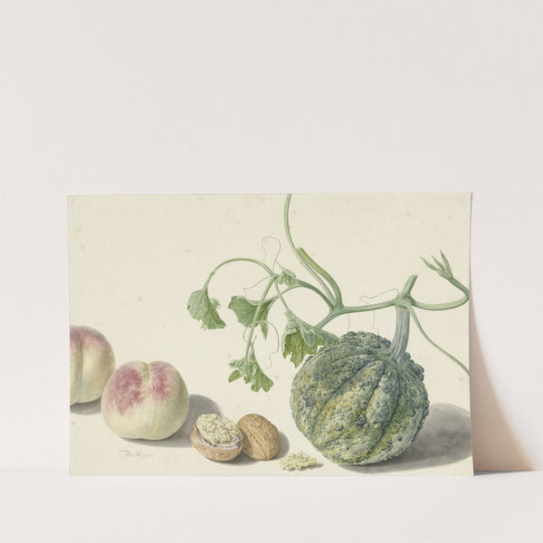 Kalebas, twee perziken en een walnoot by Michiel van Huysum