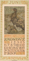 Kalenderblad juni met eend met kuikens
