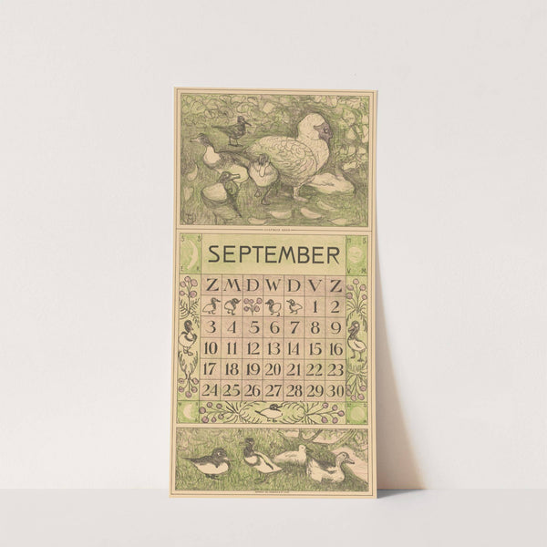 Kalenderblad september met Muskuseend by Theo van Hoytema