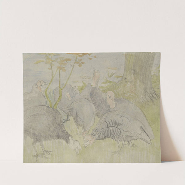 Kalkoenen in een tuin by Theo van Hoytema