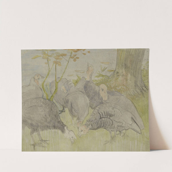 Kalkoenen in een tuin (1873 - 1917) by Theo van Hoytema