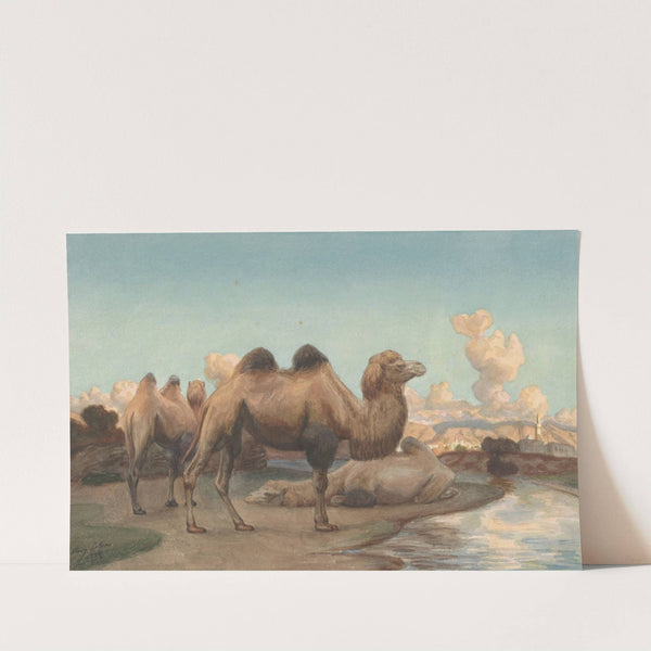Kamelen in een landschap by August Le Gras