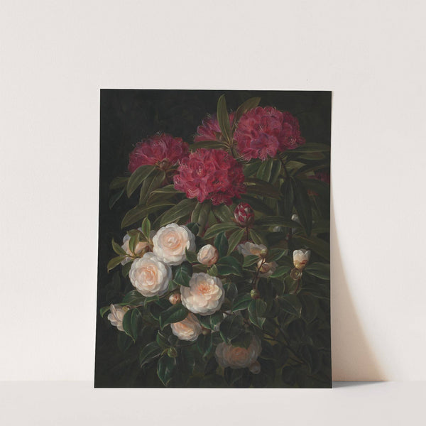 Kamelier Og Rhododendron by Johan Laurentz Jensen