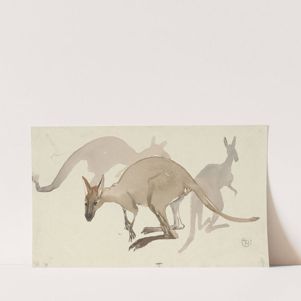 Kangoeroes (1873 - 1917) by Theo van Hoytema