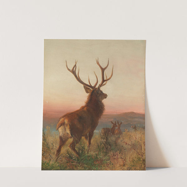 Kapitaler Hirsch mit Tieren by Carl Friedrich Deiker