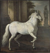 Karl XI’s horse Brilliant (1680)