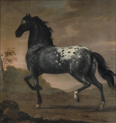Karl XI’s livhäst BlÃ¥ Tigern