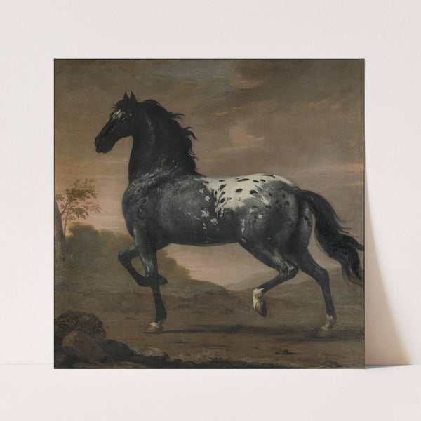 Karl XI’s livhäst Blå Tigern (1673) by David Klöcker Ehrenstrahl