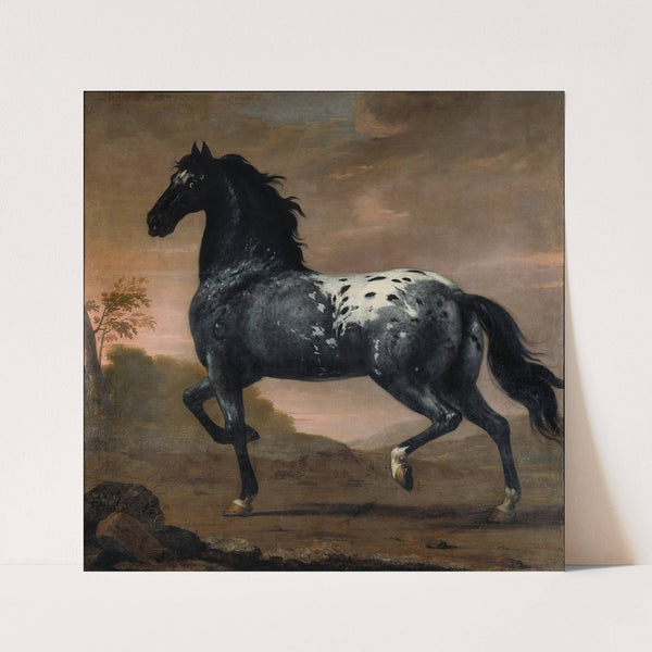 Karl XIs livhäst Blå Tigern (1673) by David Klöcker Ehrenstrahl