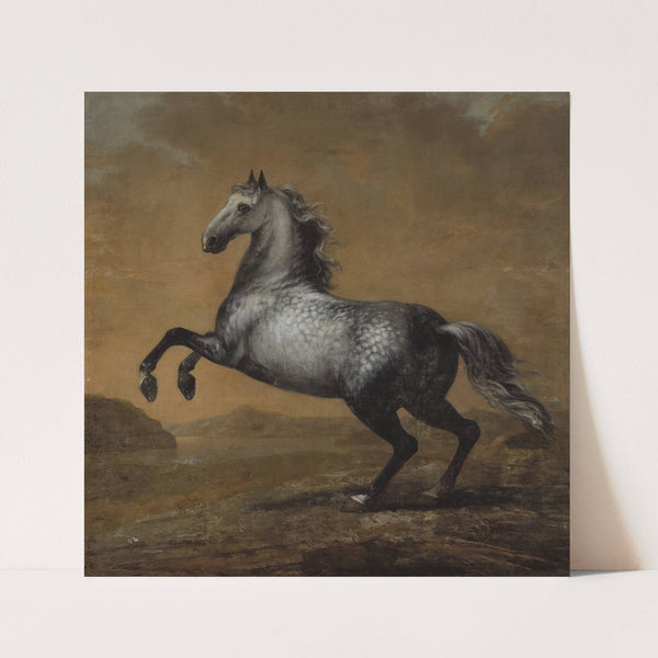 Karl XI’s livhäst Den Lille Engländaren (circa 1680-1689) by David Klöcker Ehrenstrahl