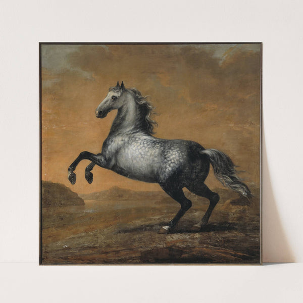 Karl XIs livhäst Den Lille Engländaren (between circa 1680 and circa 1689) by David Klöcker Ehrenstrahl