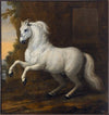 Karl XIs livhäst Kortom (1684)