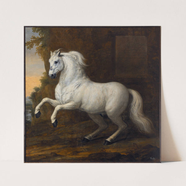 Karl XIs livhäst Kortom (1684) by David Klöcker Ehrenstrahl