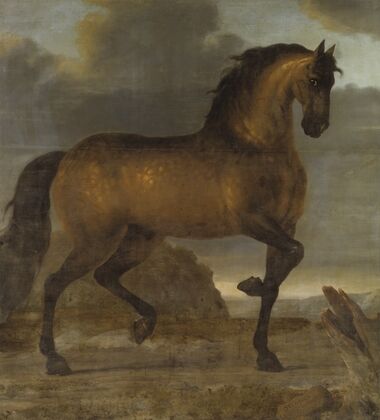 Karl XI’s livhäst Stenbock
