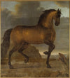 Karl XIs livhäst Stenbock
