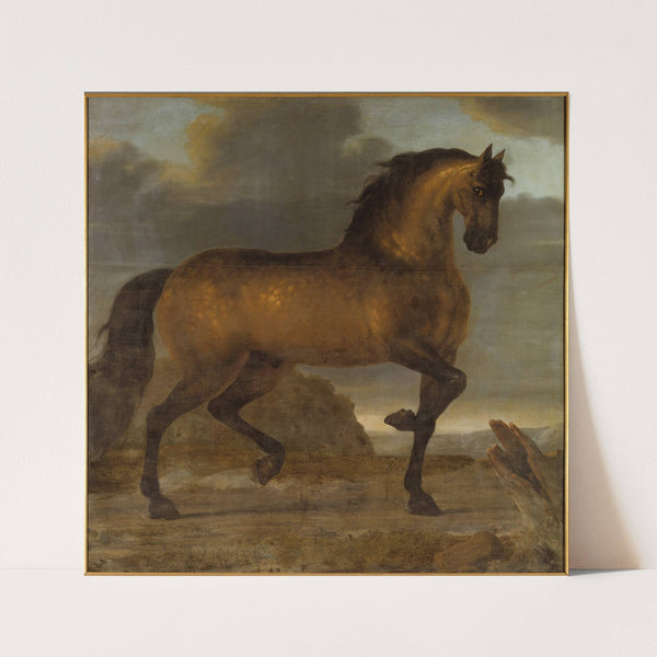 Karl XIs livhäst Stenbock (1673) by David Klöcker Ehrenstrahl