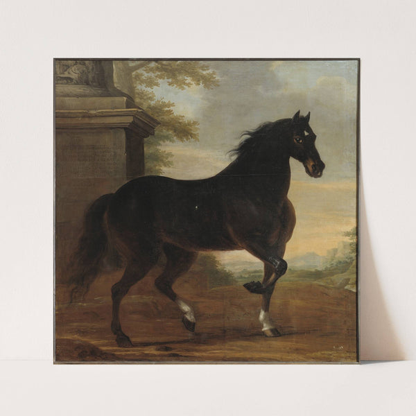 Karl XIs livhäst Tott (1680) by David Klöcker Ehrenstrahl