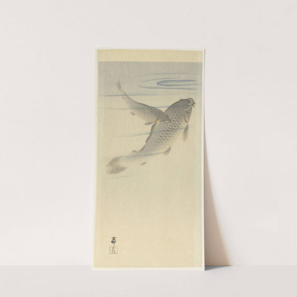 Karpers by Ohara Koson